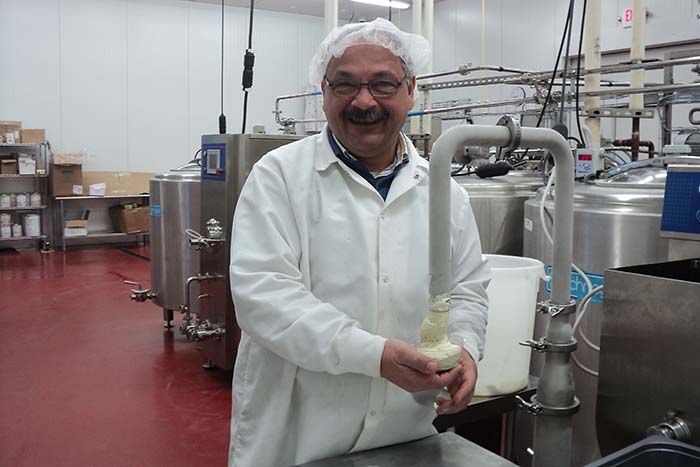 gelati graziosi