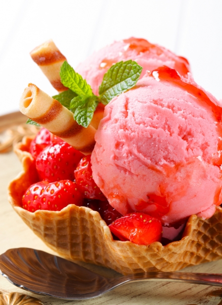 come fare  il gelato a casa - vicegelato.com